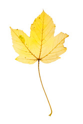 Similar image 2273580