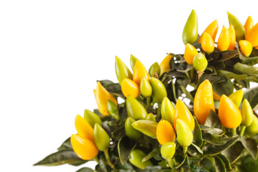 Similar image 2273581