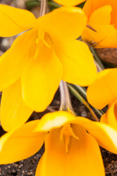 Similar image 2273612