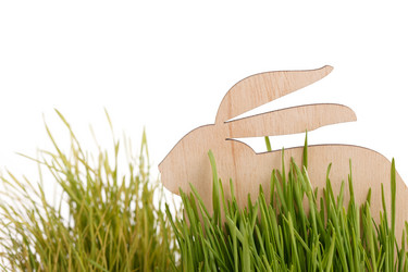 Similar image 2273614