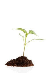 Similar image 2273621