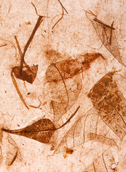 Similar image 2273652