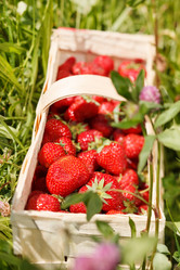 Similar image 2273688