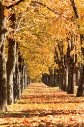 Similar image 2273717