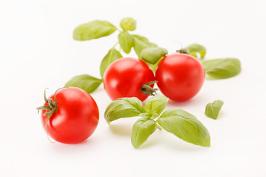 Similar image 2273726