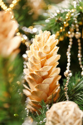 Similar image 2273778