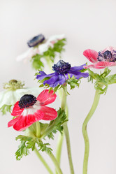 Similar image 2273842