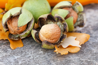 Similar image 2273930