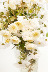 Similar image 2273953