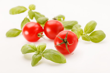 Similar image 2273971