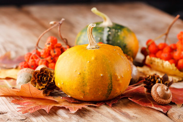 Similar image 2273973