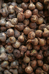 Similar image 2276159