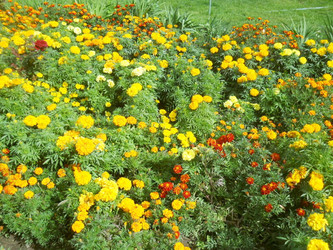 Similar image 2276373