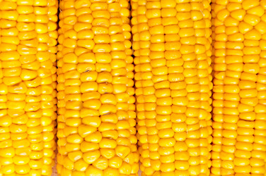 Similar image 2276409