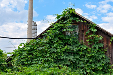 Similar image 2276419