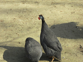 Similar image 2276431