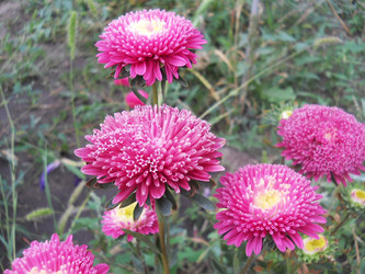 Similar image 2276432