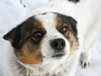 Similar image 2276435