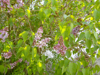 Similar image 2276436