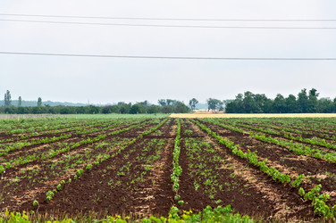 Similar image 2276475