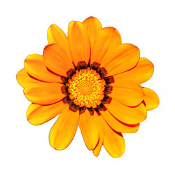 Similar image 2276478