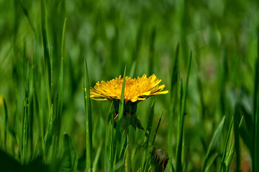 Similar image 2276483