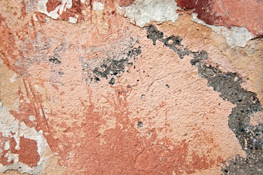 Similar image 2276500