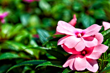 Similar image 2276762