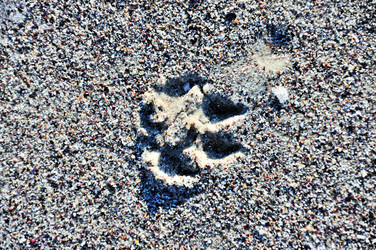 Similar image 2276813