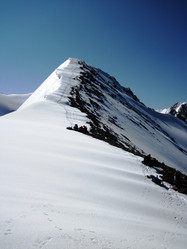 Similar image 2276862