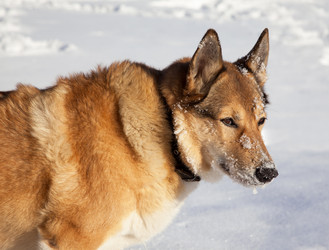 Similar image 2282353