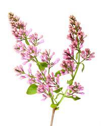 Similar image 2282449