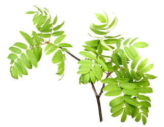 Similar image 2282453