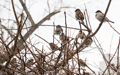 Similar image 2282458