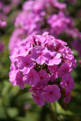 Similar image 2282580