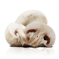 Similar image 2282769