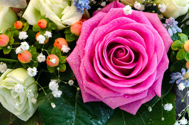 Similar image 2282853