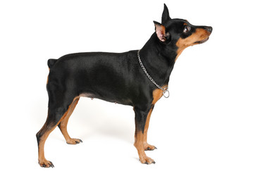 Similar image 2282973