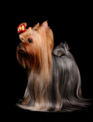 Similar image 2283050