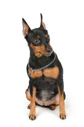 Similar image 2283057