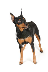 Similar image 2283061