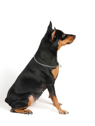 Similar image 2283062