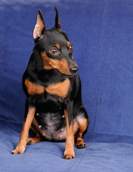 Similar image 2283071