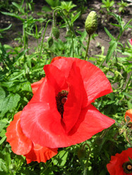 Similar image 2283216