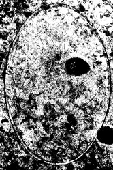 Similar image 2283297