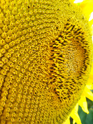 Similar image 2283327