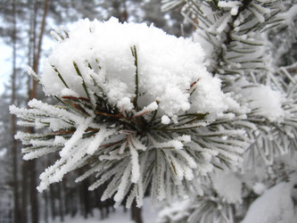 Similar image 2283344