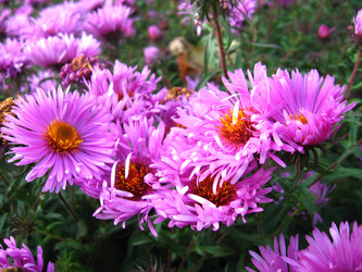 Similar image 2283378