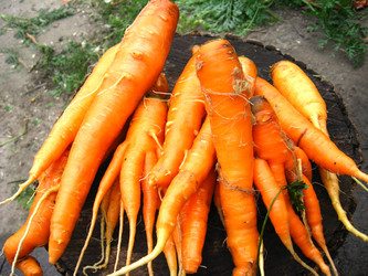 Similar image 2283475