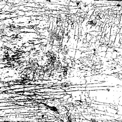 Similar image 2285098